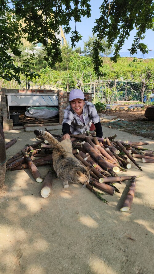 441966657 986600886154105 4095175826151578587 n