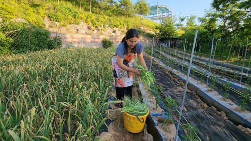 448106137 1007916824022511 5389316006675011304 n