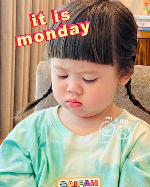 450361911 18239428828261775 1627205124877708264 n