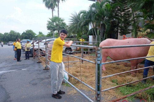 455241880 813453710971892 7504000706706974776 n