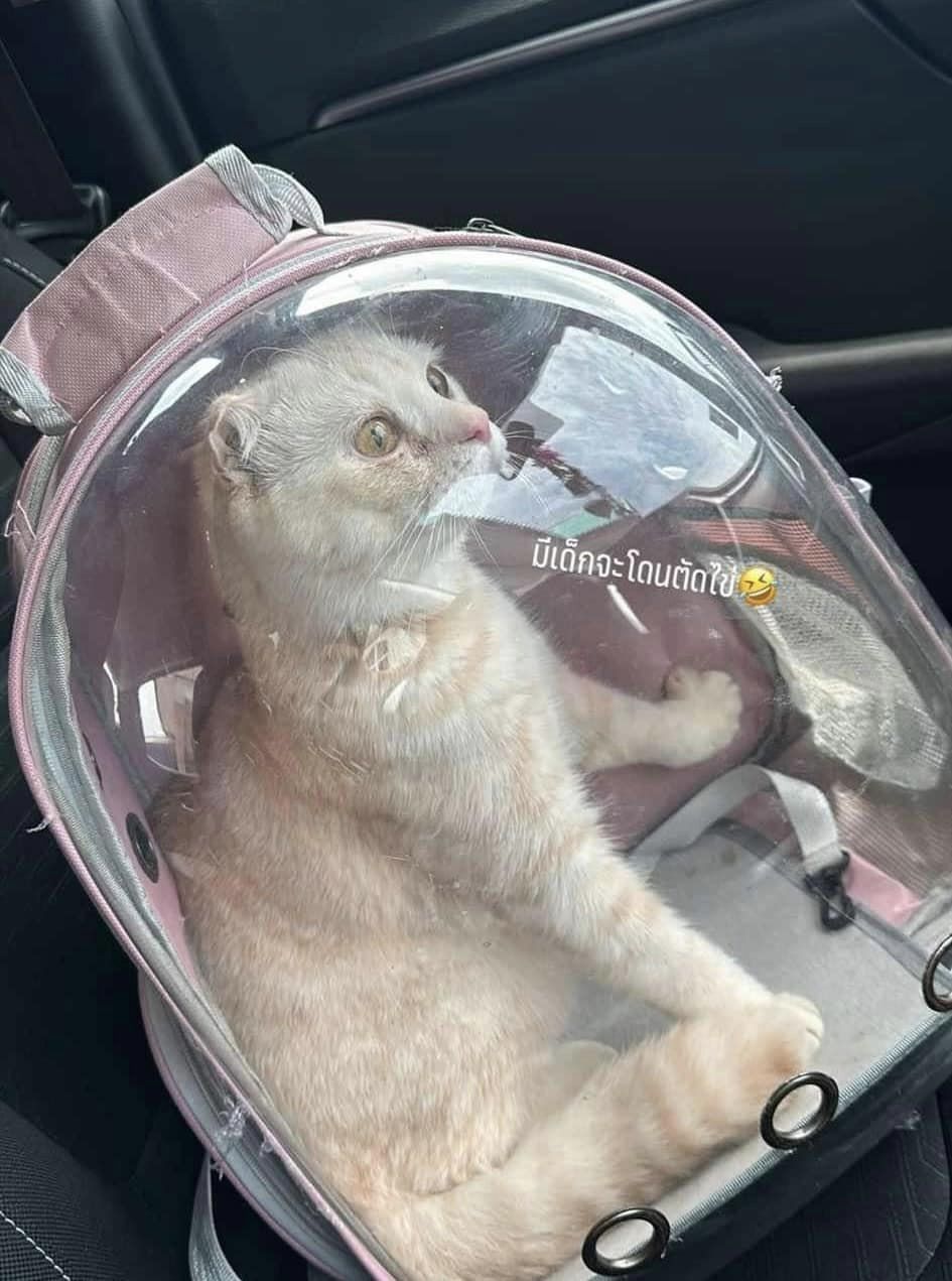 458551318 122127104348377399 4269992733622274284 n