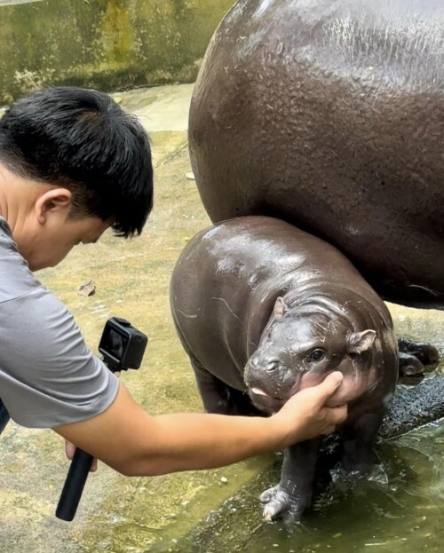 459297666 826599692983872 7322149767601619400 n