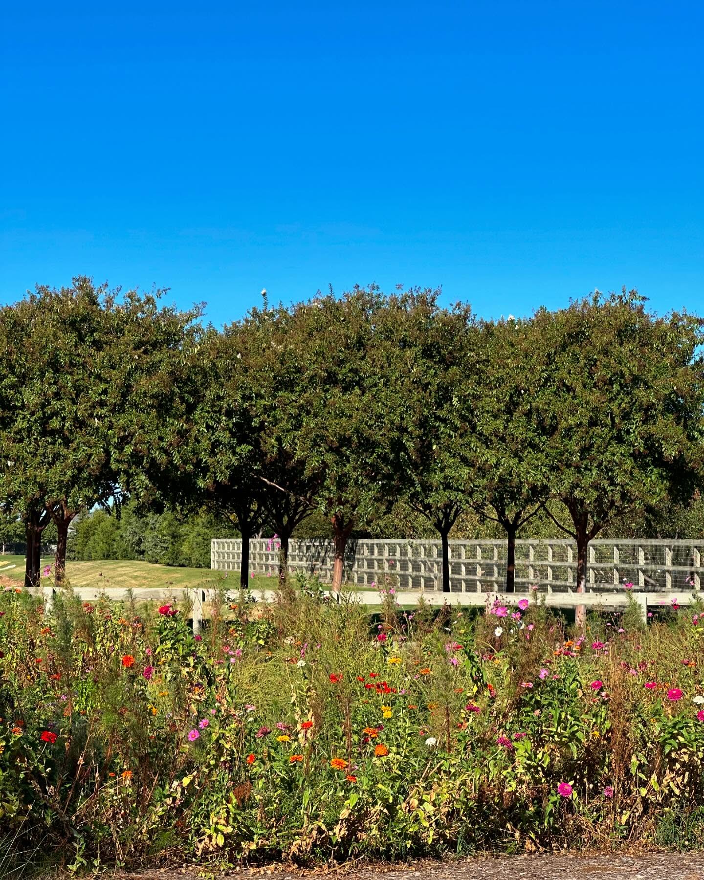 461494259 403394339238392 4888056825524787146 n