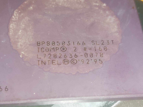 462554382 3602190783405234 6093545713605505563 n