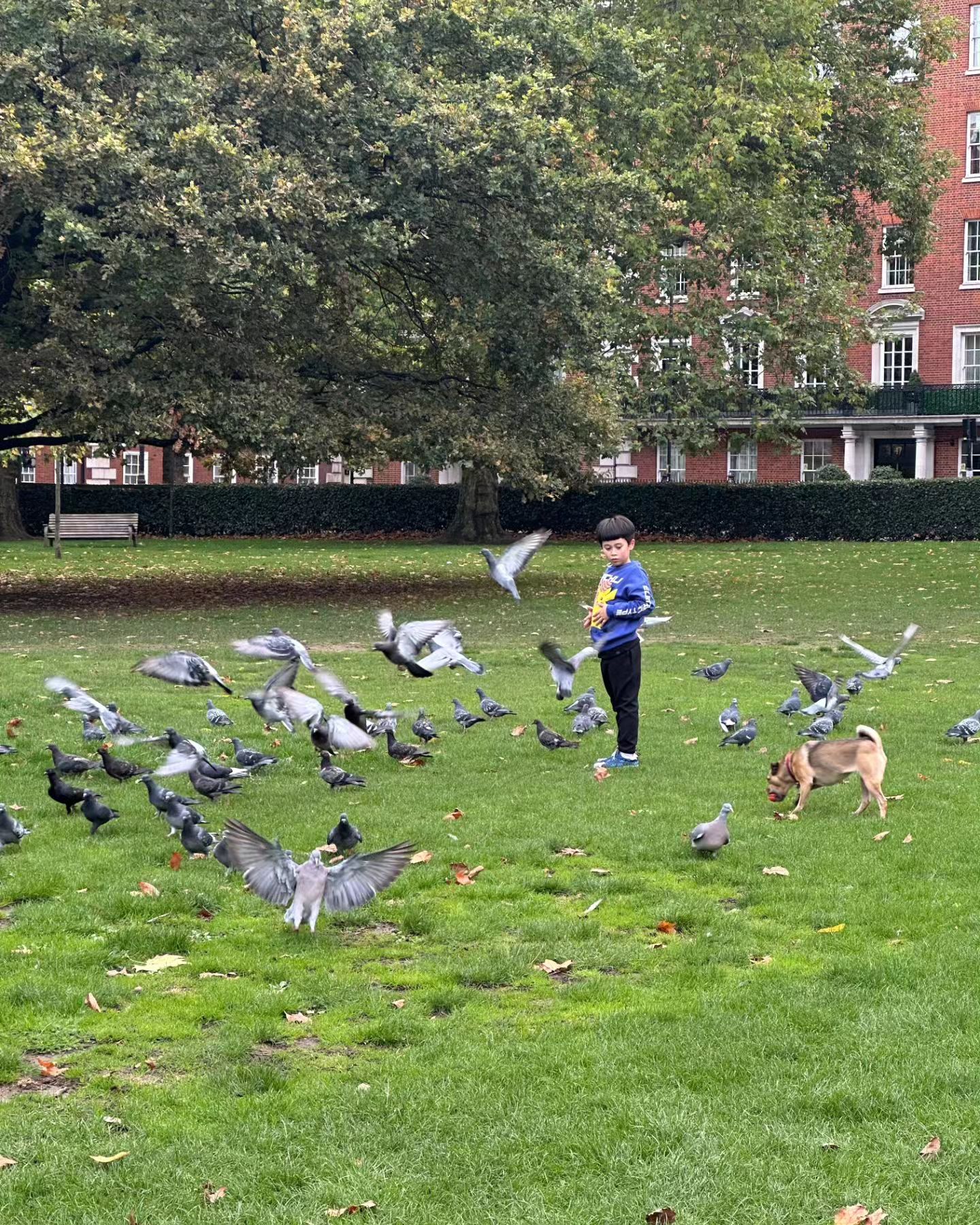 462831309 1257523752335893 7602720916265619445 n