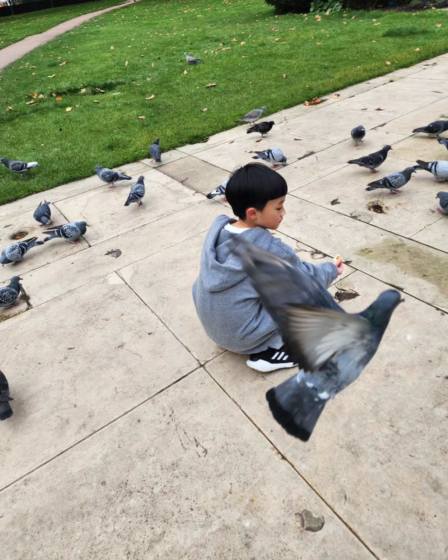 463271482 1766542984154434 7236526557358557223 n