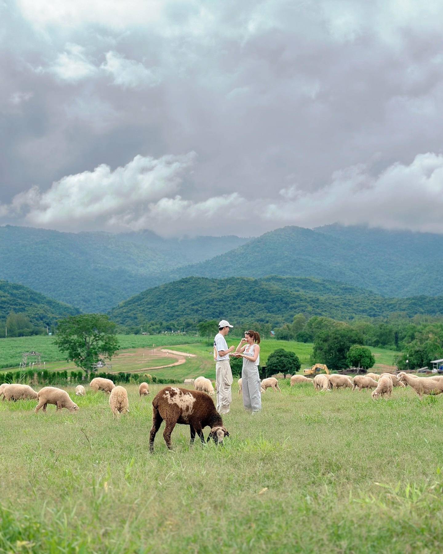 464281368 18464200627043859 1975200735165516949 n