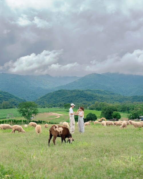 464281368 18464200627043859 1975200735165516949 n