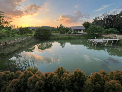 465277706 1970401323474155 601207350333171506 n