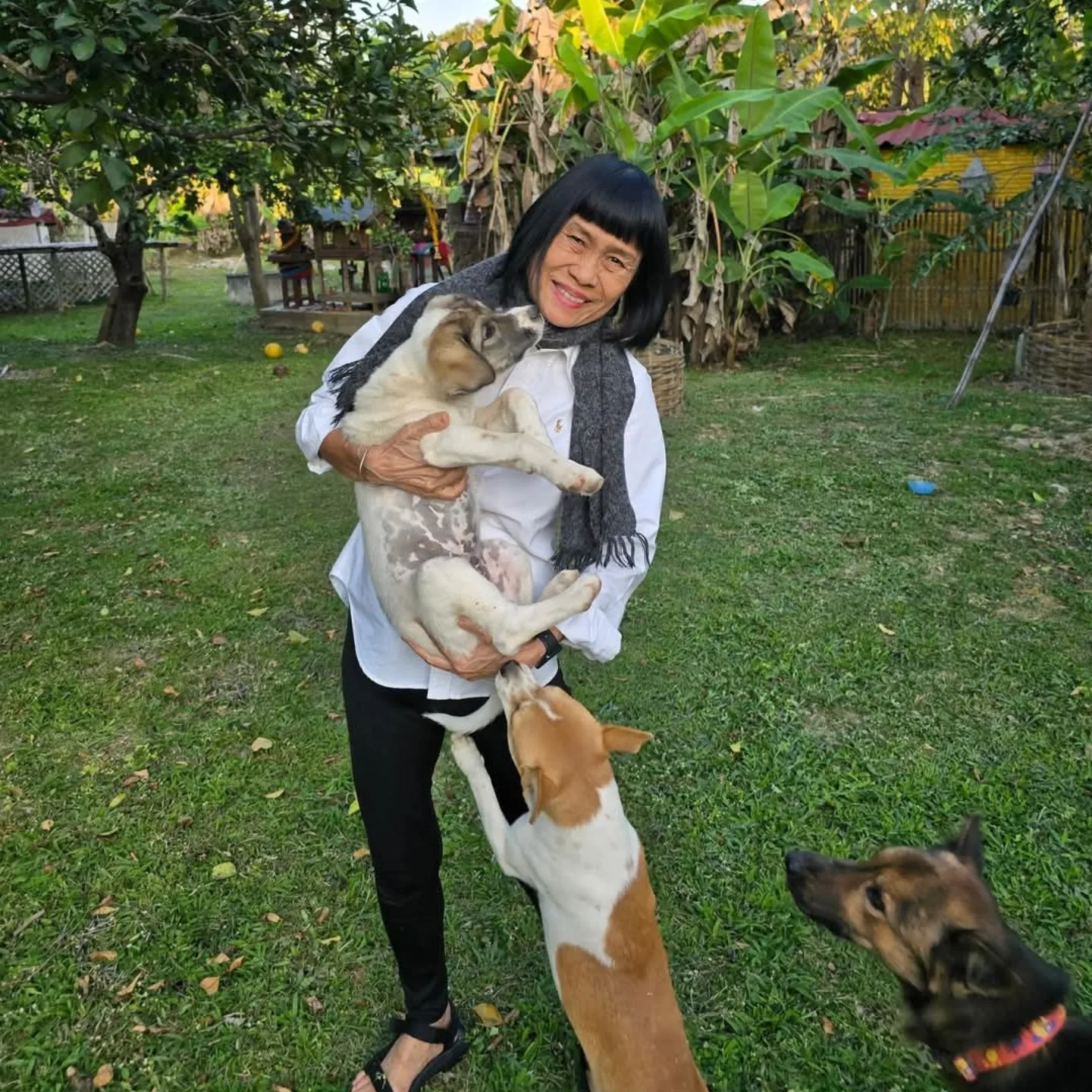 473803138 18484202455054422 9095882669798389786 n