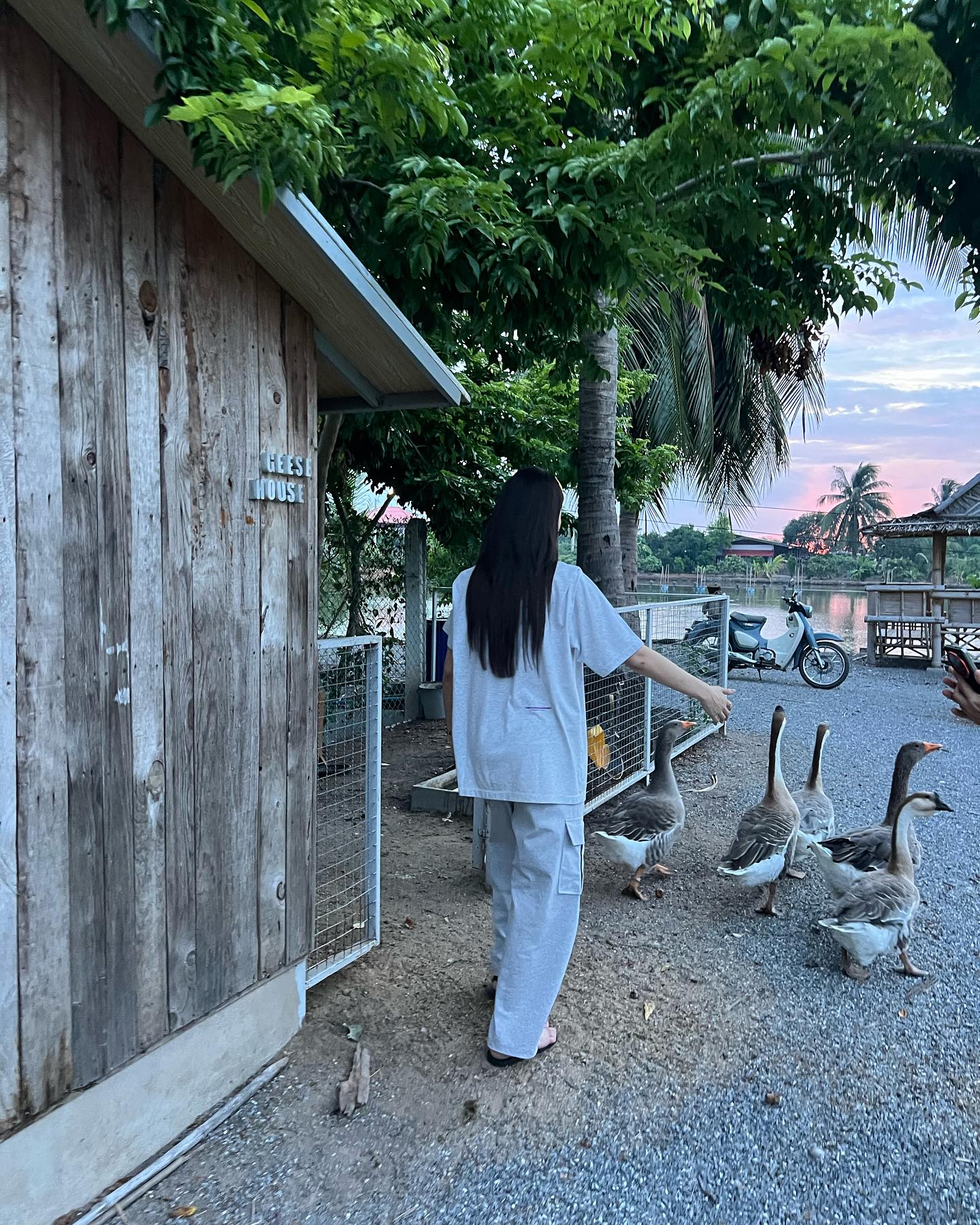 475378992 18485400022053289 8498289186721184085 n