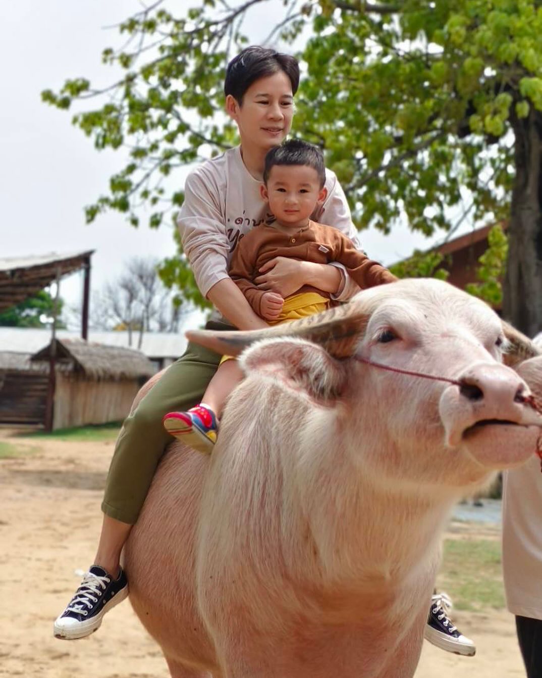 483352523 18491224624060413 7699751648371786970 n