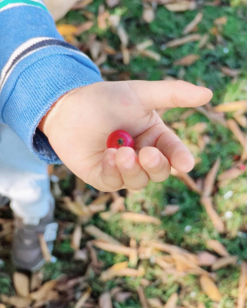 483632771 17981206016812615 955907206414340843 n