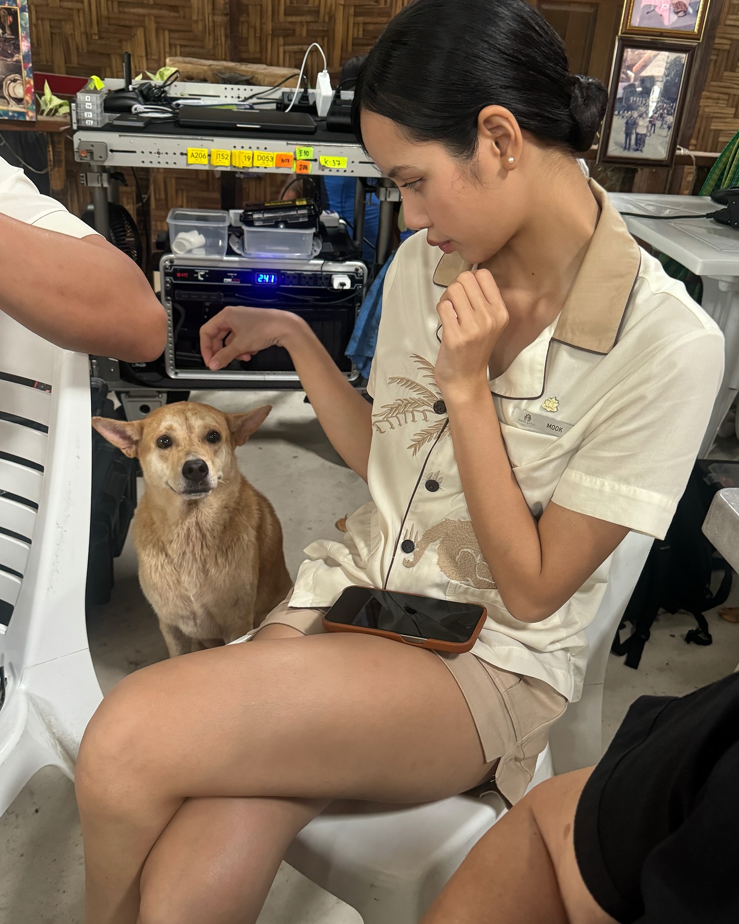 488792755 18296845909265211 7007937392911786589 n