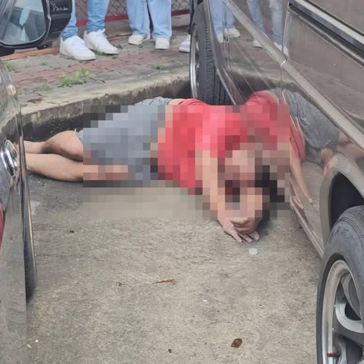 489914929 1207659107387722 2329950852952125261 n