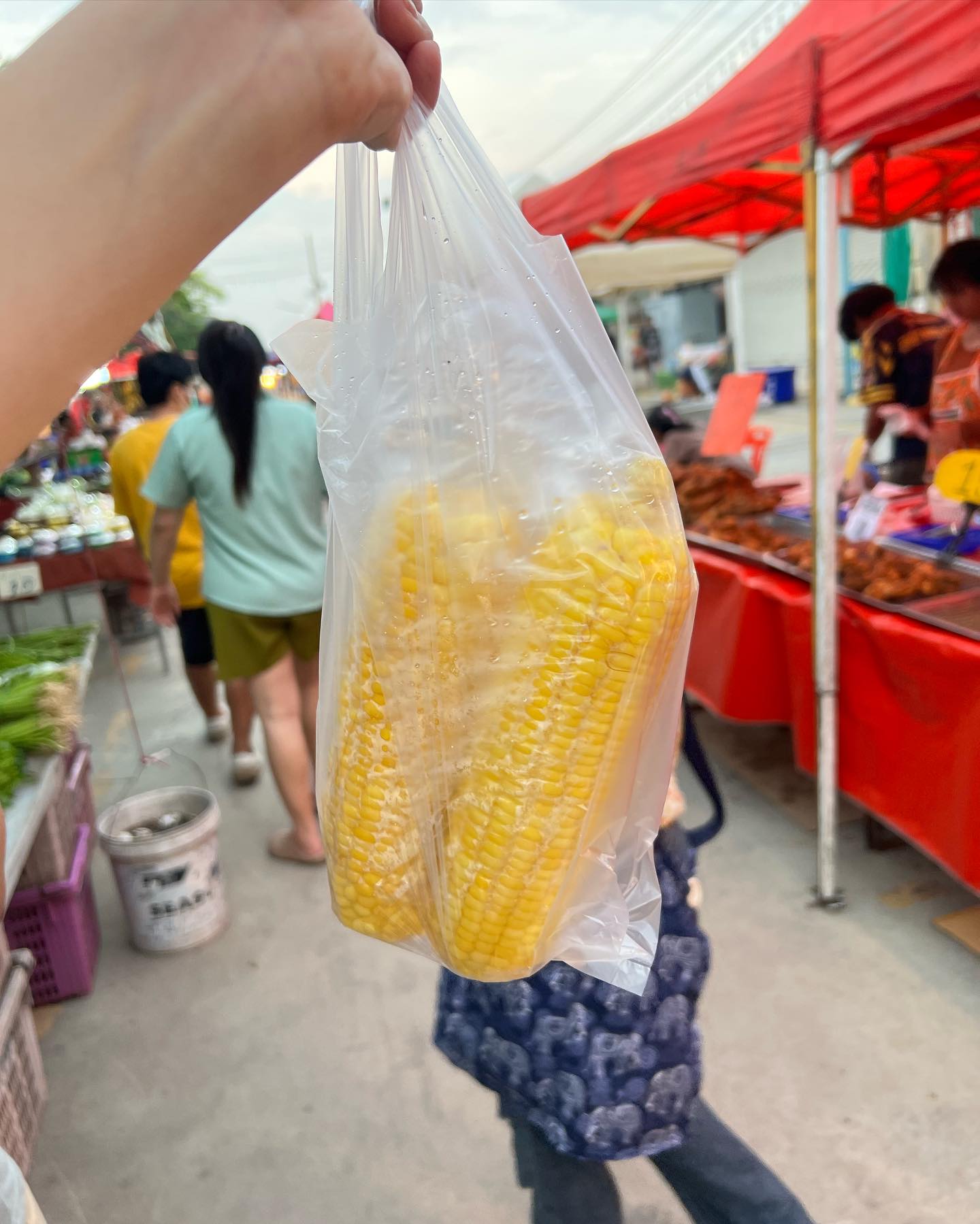 490841917 18501525643053289 1528937038524508994 n