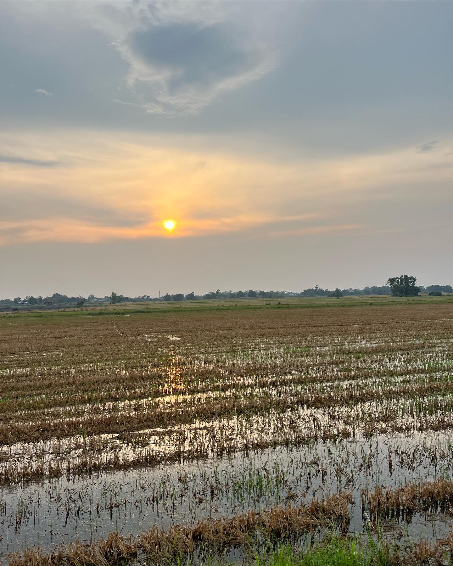 491216747 18501525583053289 1716347936608342357 n