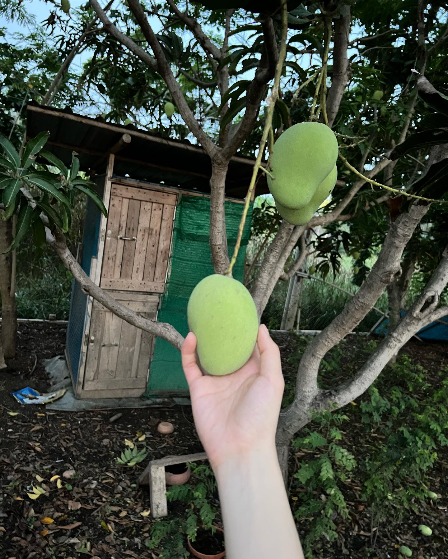 491464579 18501525667053289 2650375127172652494 n