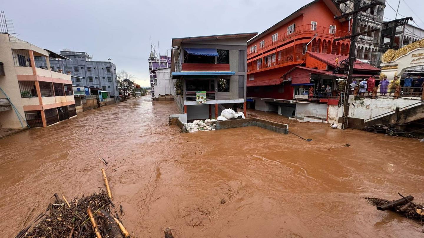 500224551 1250805899740142 4661196342827749377 n