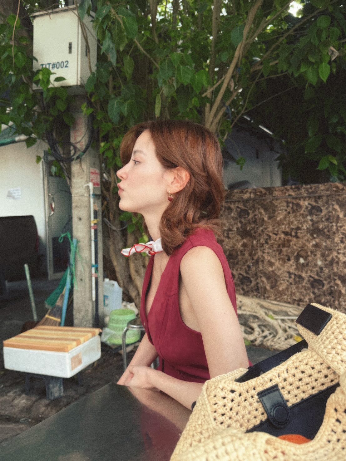 502689772 18513553192047866 8496870378770515641 n