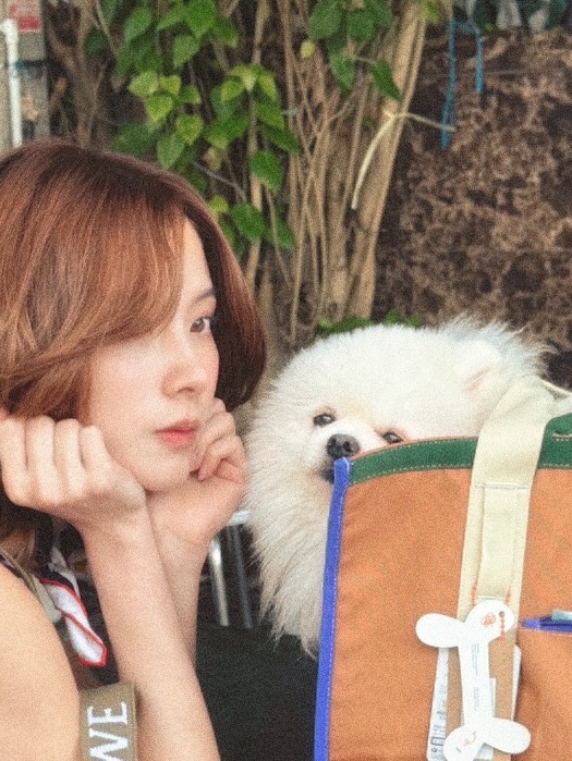 510534231 18513553183047866 5942543673416277895 n