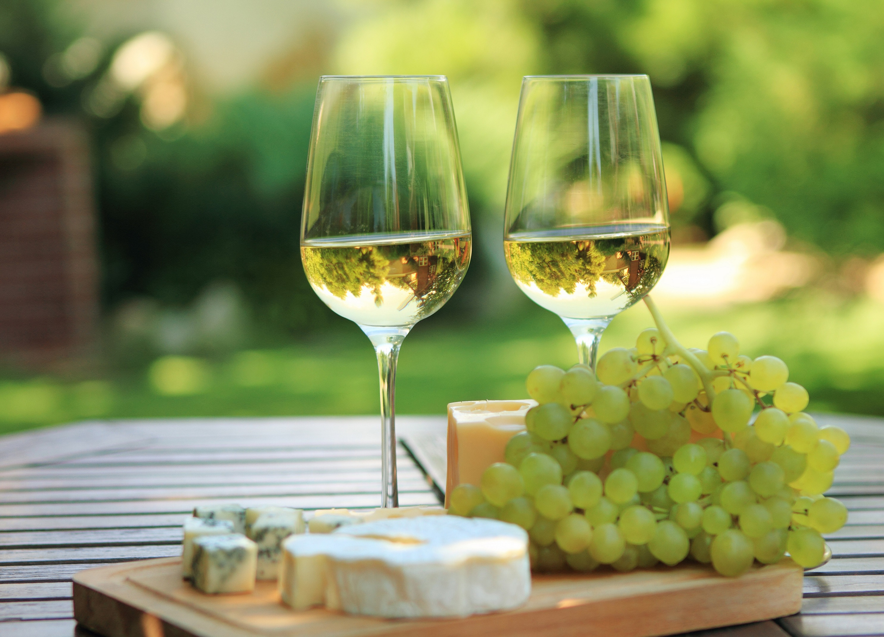 สัมผัสมนต์เสน่ห์แห่งไวน์นานาชาติ พร้อมเมนูมื้อค่ำสุดพิเศษ ในงาน “Wine Testing
