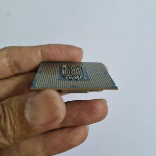 647070_0.jpeg