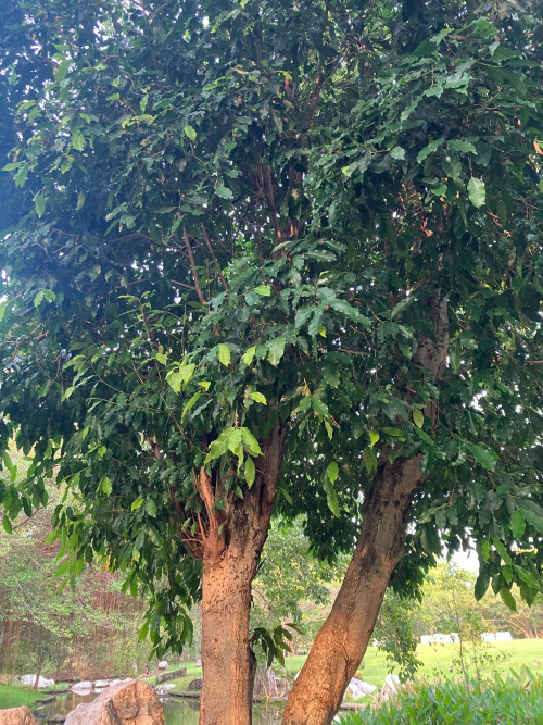 66fe6550 7891 402b ad86 4203559bbc5e