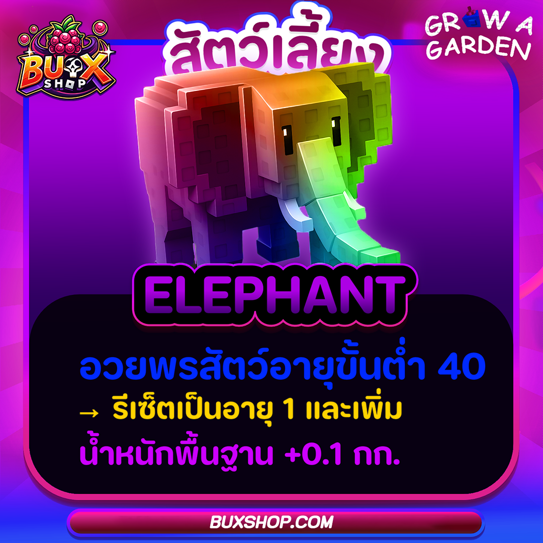 Elephant Rainbow🌈🐘