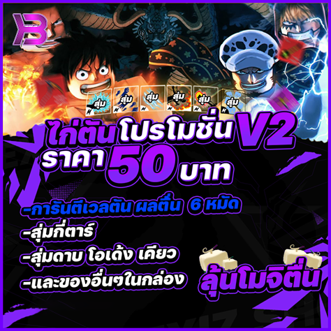 ไก่ตันโปรโมชั่น V2