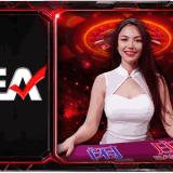 9_11zon4e4cbbce26c39a40