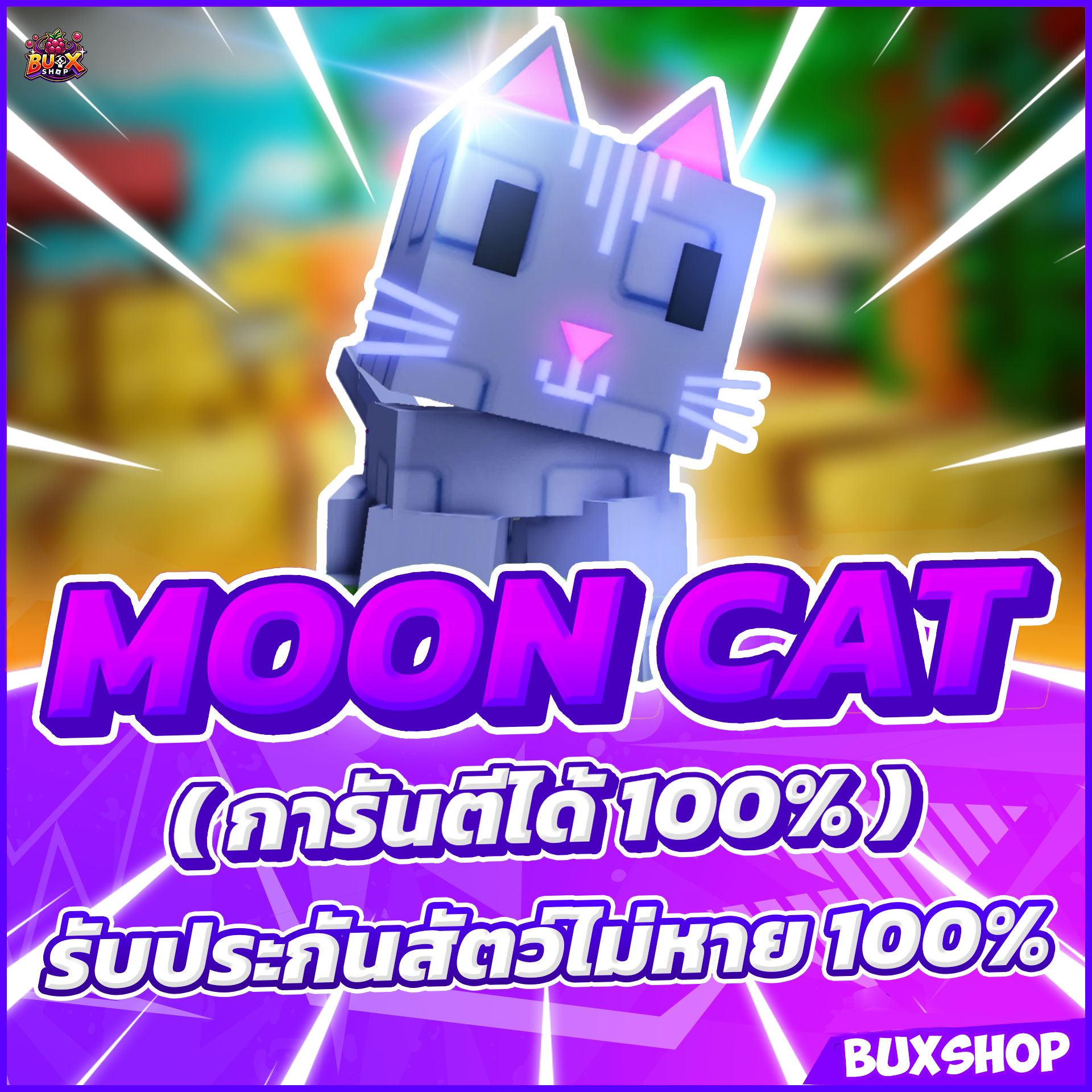 Moon Cat 🐈‍⬛