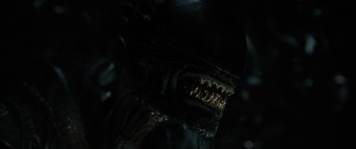 Alien.Romulus.2024.2160p.DV.HDR.WEB-DL.DDP5.1.HEVC.H265Argon-.mkv_snapshot_01.25.39.172.jpg