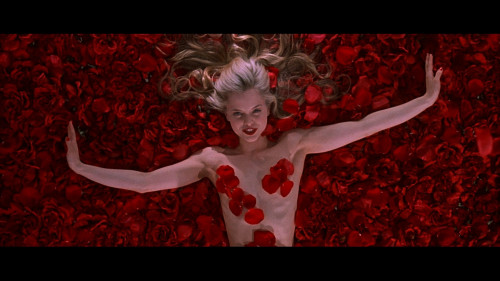American.Beauty.1999.1080p.NF.WEB-DL.DDP5.1.H264Argon.mkv_snapshot_00.19.52.403.jpg