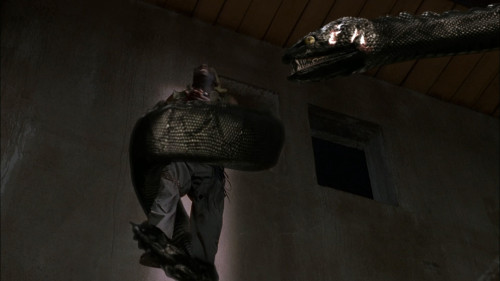 Anaconda.3.Offspring.2008.1080p.AMZN.WEB-DL.DDP5.1.HEVC.H265Argon-.mkv_snapshot_01.18.20.490.jpg