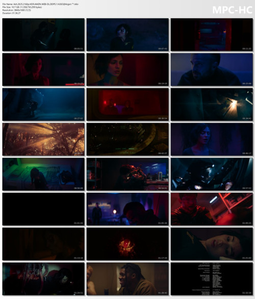 Ash.2025.2160p.HDR.AMZN.WEB-DL.DDP5.1.H265Argon-.mkv_thumbs.jpg