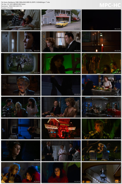 Beetlejuice.1988.1080p.MAX.WEB-DL.DDP5.1.H264Argon-.mkv_thumbs.jpg