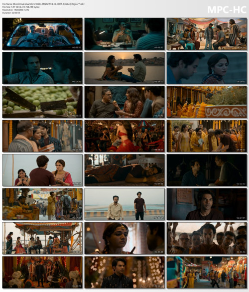 Bhool.Chuk.Maaf.2025.1080p.AMZN.WEB-DL.DDP5.1.H264Argon-.mkv_thumbs.jpg