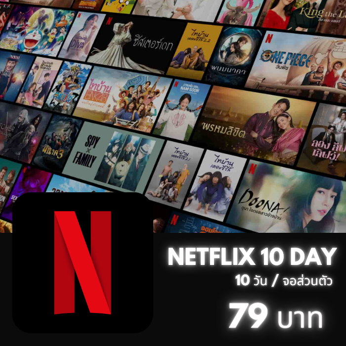 Netflix 10 วัน (จอเสริม) 