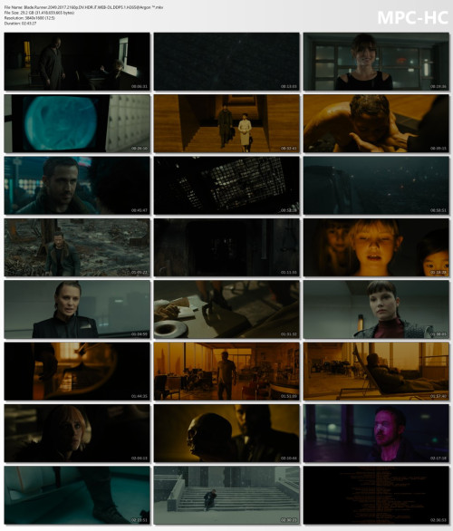 Blade.Runner.2049.2017.2160p.DV.HDR.iT.WEB-DL.DDP5.1.H265Argon-.mkv_thumbs.jpg
