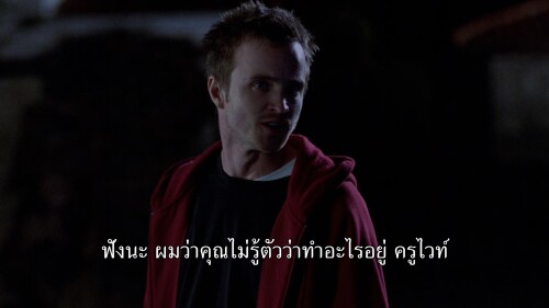 Breaking.Bad.S01E01.1080p.NF.WEB-DL.DDP5.1.H265.mkv_snapshot_28.36.381.jpg