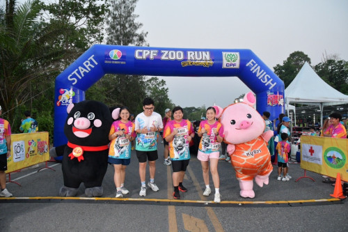 CPF--11.jpg