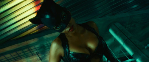 Catwoman.2004.1080p.iT.WEB-DL.DDP5.1.H264Argon-.mkv_snapshot_01.33.52.841.jpg