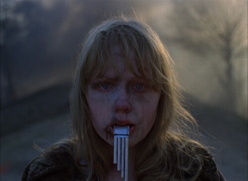Come-And-See-Idi-i-smotri-1985-Criterion-1080p-BluRay-x265-DD-3.1-Google.mkv_snapshot_02.05.04.664.jpeg