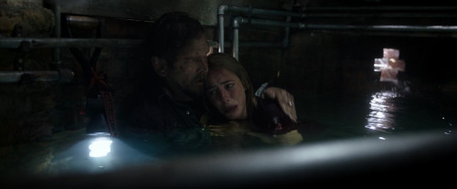 Crawl.2019.1080p.iT.WEB-DL.DDP7.1.H264Argon-.mkv_snapshot_00.50.26.715.jpg