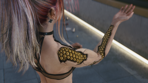 Cyberpunk2077-2024-09-05-20-20-42.png