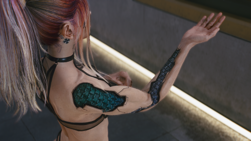 Cyberpunk2077-2024-09-05-20-41-10.png