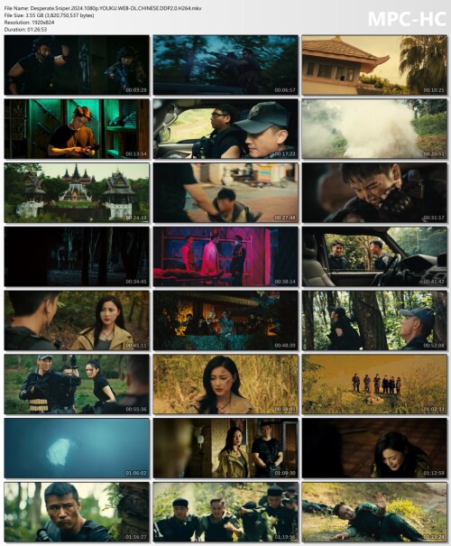 Desperate.Sniper.2024.1080p.YOUKU.WEB-DL.CHINESE.DDP2.0.H264.mkv_thumbs.jpg