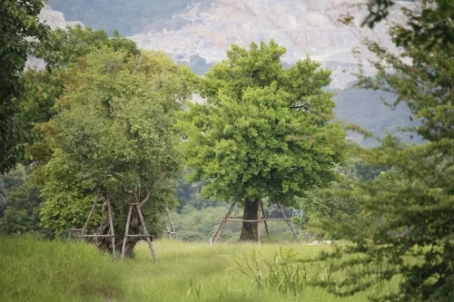 Dtbezn3nNUxytg04agGBATUdLr3Xrh3y3OsCs2qFD9zXwe