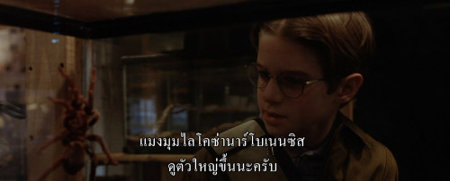 Eight.Legged.Freaks.2002.1080p.iT.WEB-DL.DDP5.1.H264Argon-.mkv_snapshot_00.05.04.535.jpg